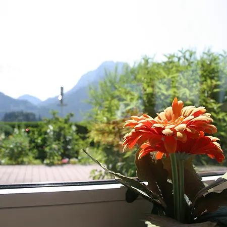 Gaestehaus Elisabeth Casa de hóspedes Schwangau