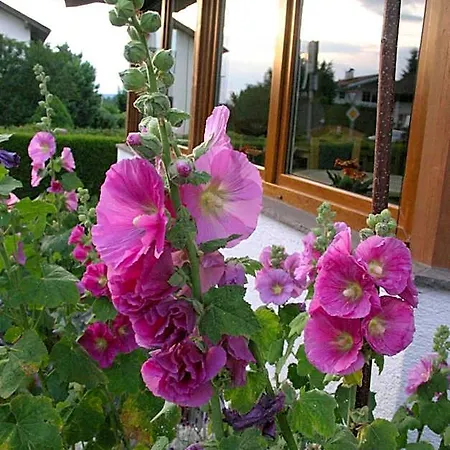 Gaestehaus Elisabeth 3*
