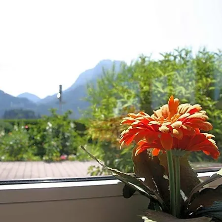 Gaestehaus Elisabeth Schwangau